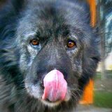 Entry image for Alexandra