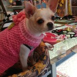 Entry image for Bubbles