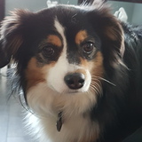 Entry image for Chloe