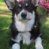 Entry image for Hayden