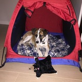 Entry image for Alyeska