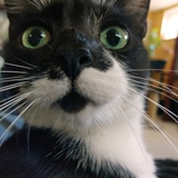 Entry image for Quinn