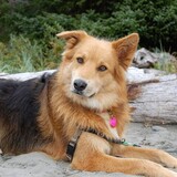 Entry image for Kyli