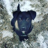 Entry image for Kobe