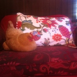 Entry image for Lila