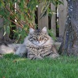 Entry image for Monroe