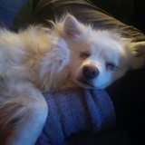 Entry image for Keira