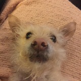 Entry image for Egon