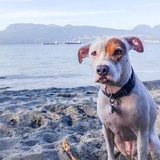 Entry image for Chloe