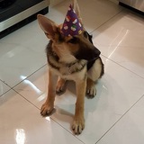 Entry image for Shanaya