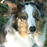 Entry image for Granite 