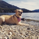 Entry image for Bailey