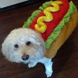 Entry image for Cappuccino 