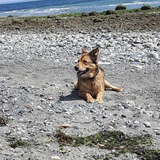 Entry image for Benny