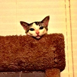 Entry image for Andy