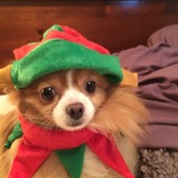 Entry image for Taya