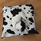 Entry image for Griffin