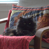 Entry image for Mr Fuzzy Pants