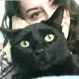 Entry image for Zyle