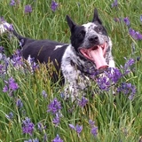 Entry image for Vegas