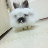 Entry image for Stormy 