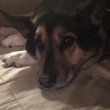 Entry image for Simmons