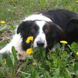 Entry image for Billie