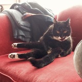 Entry image for Abby