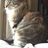 Entry image for Isabella 