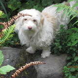 Entry image for Ginny