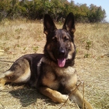 Entry image for Luna