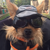 Entry image for Ms. Ginger Rogers 