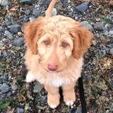 Entry image for Eddie