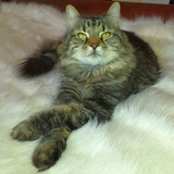 Entry image for Badness