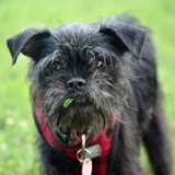 Entry image for Lewis