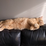 Entry image for Larry