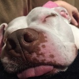 Entry image for Geronimo 