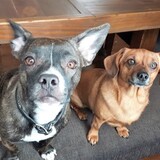 Entry image for Paisley and Kody 