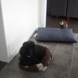 Entry image for Kiki