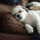 Entry image for Leroy