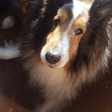 Entry image for Prince