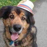 Entry image for Marshall