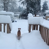 Entry image for Monty