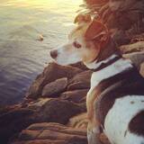 Entry image for Santi