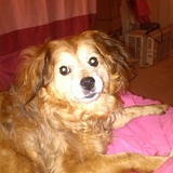 Entry image for Hershey