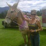 Entry image for Dundass the Wonder Mule