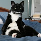 Entry image for Dave