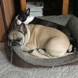 Entry image for Radar & Java