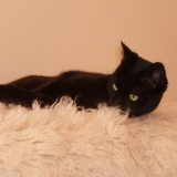 Entry image for Rupert