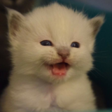 Entry image for Anna